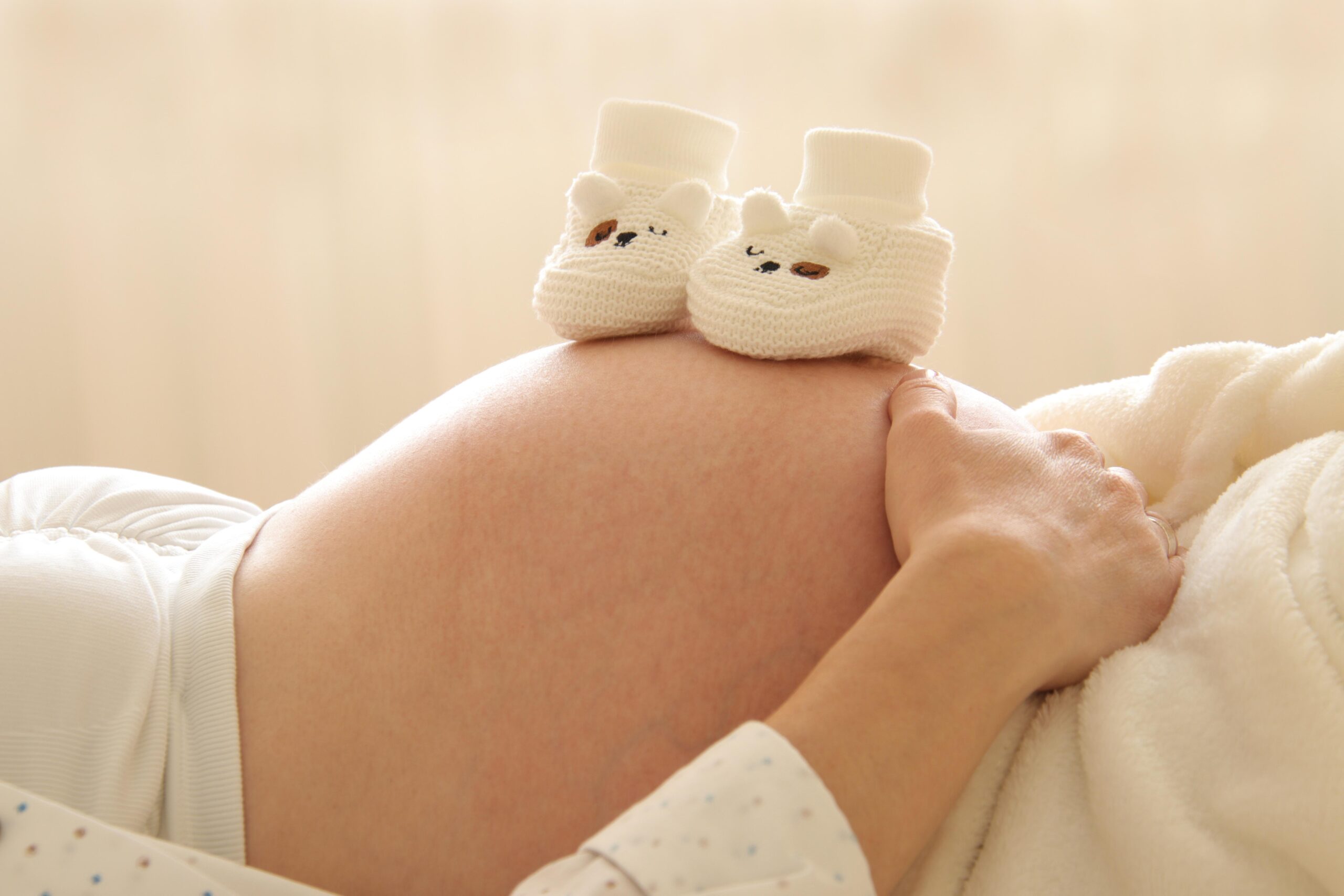 Doula Services Tampa Bay Area