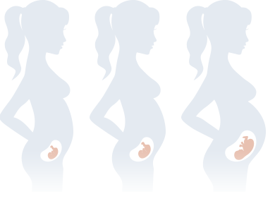 Pregnancy Calendar & Week-by-Week Pregnancy Tracker